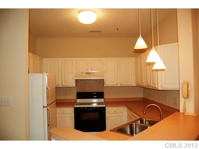 1331 Torrence 22 Cir #22, Davidson, NC 28036 photo 5