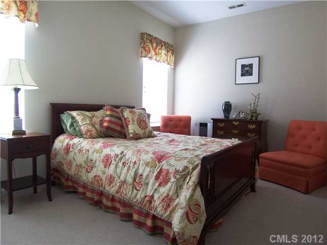 10008 Willow Leaf Ln, Cornelius, NC 28031 photo 12