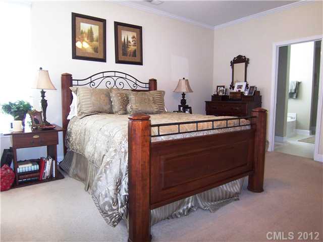 10008 Willow Leaf Ln, Cornelius, NC 28031 photo 9