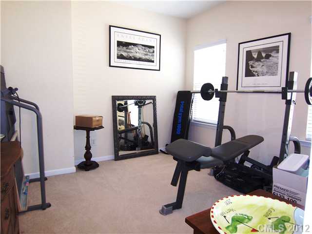 10008 Willow Leaf Ln, Cornelius, NC 28031 photo 14
