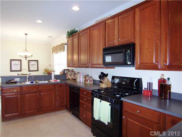 10008 Willow Leaf Ln, Cornelius, NC 28031 photo 3