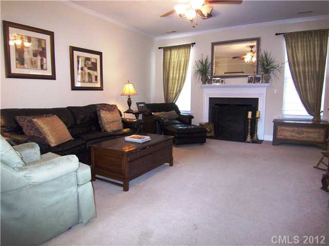 10008 Willow Leaf Ln, Cornelius, NC 28031 photo 8