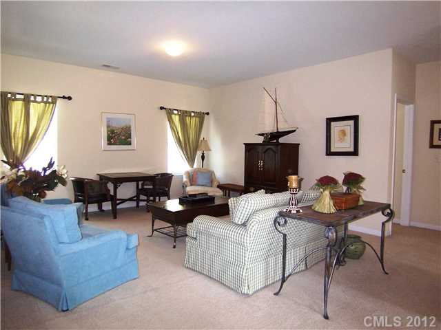 10008 Willow Leaf Ln, Cornelius, NC 28031 photo 15