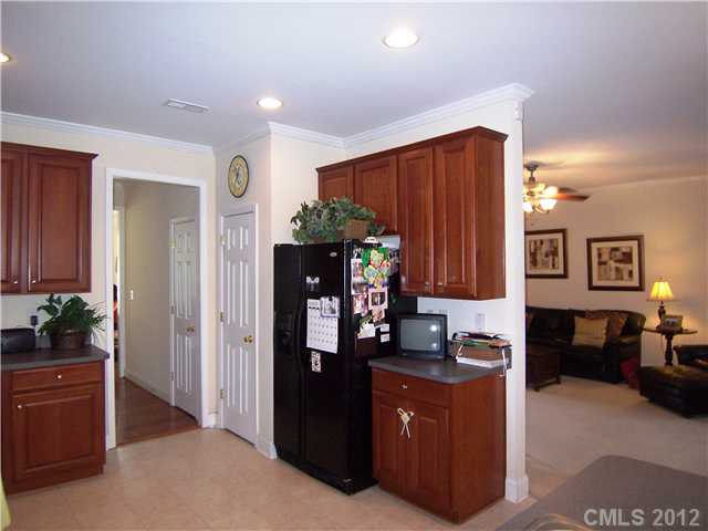 10008 Willow Leaf Ln, Cornelius, NC 28031 photo 4