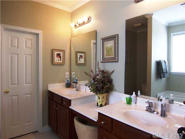 10008 Willow Leaf Ln, Cornelius, NC 28031 photo 10