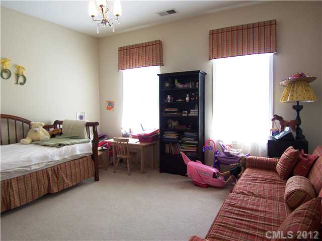 10008 Willow Leaf Ln, Cornelius, NC 28031 photo 11