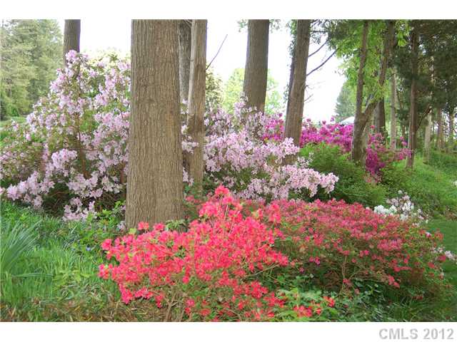 14312 Soldier Rd, Charlotte, NC 28278 photo 16