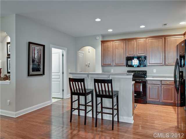 19121 Celestine Ln, Cornelius, NC 28031 photo 7