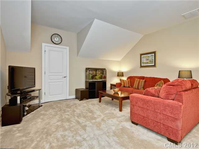 19121 Celestine Ln, Cornelius, NC 28031 photo 13