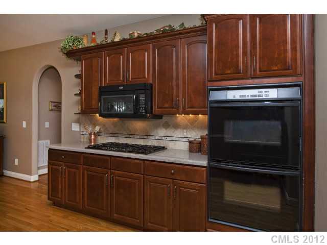 8281 Paytons Pointe Ln, Denver, NC 28037 photo 6