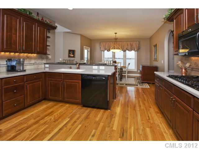 8281 Paytons Pointe Ln, Denver, NC 28037 photo 5