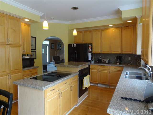 20110 Rainbow Cir, Cornelius, NC 28031 photo 5
