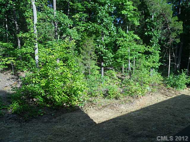3712 Shannon Loop, Denver, NC 28037 photo 15