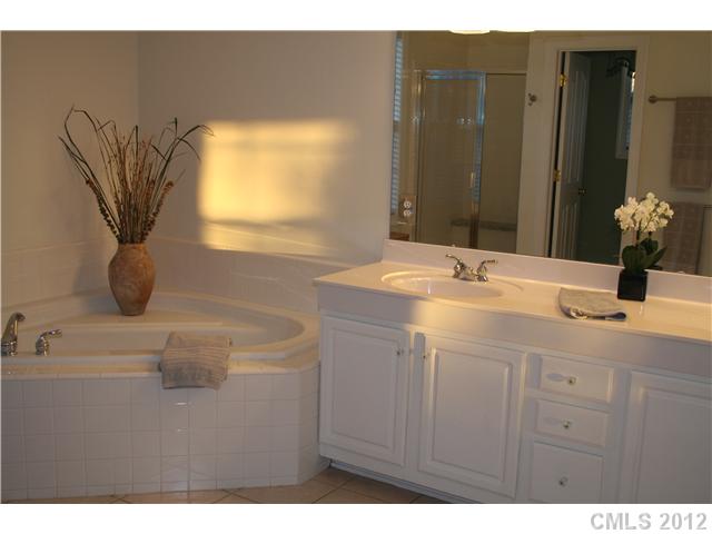 18639 Dembridge Dr, Davidson, NC 28036 photo 8