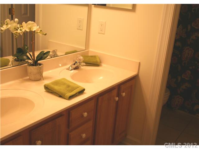 18639 Dembridge Dr, Davidson, NC 28036 photo 12