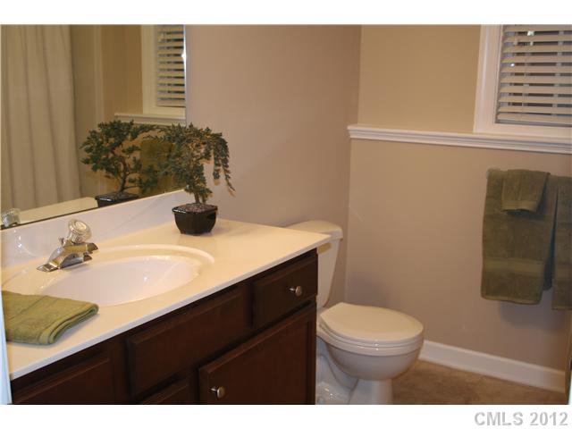 18639 Dembridge Dr, Davidson, NC 28036 photo 13