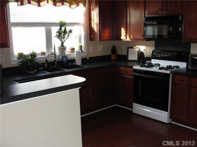 18719 Ronceverte Dr, Cornelius, NC 28031 photo 4