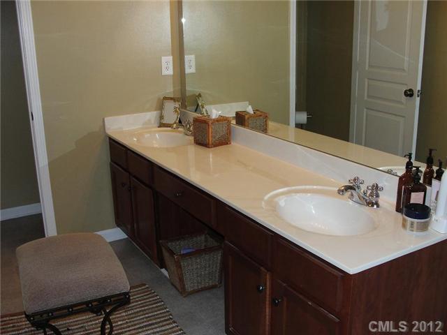 18719 Ronceverte Dr, Cornelius, NC 28031 photo 10