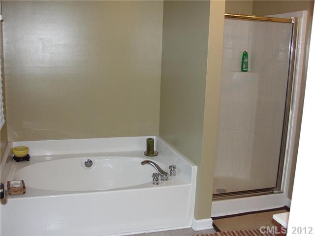 18719 Ronceverte Dr, Cornelius, NC 28031 photo 13