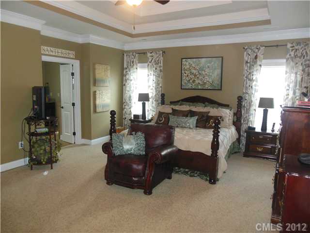 3263 Basalt Pl, Davidson, NC 28036 photo 10