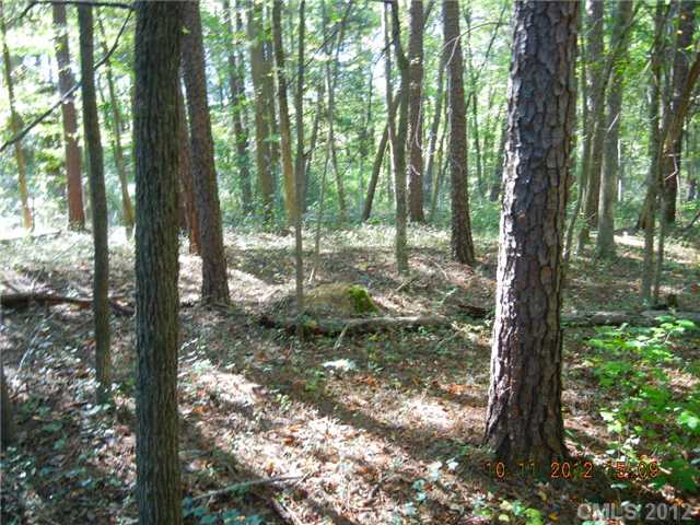8415 Bartlett Rd, Mint Hill, NC 28227 photo 3