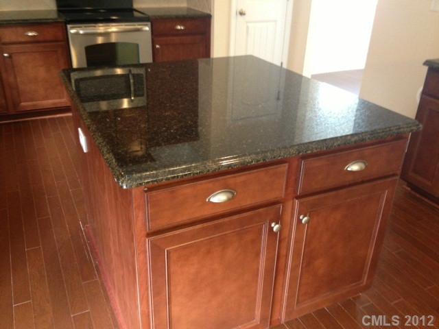 79133 Ridgehaven Rd, Lancaster, SC 29720 photo 6