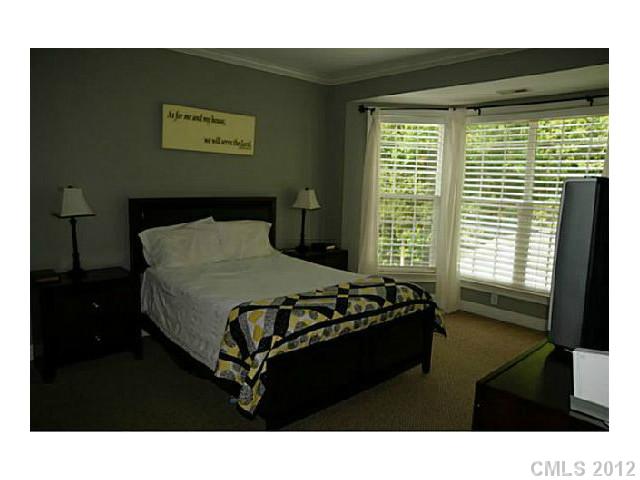 210 Ohenry Ave, Davidson, NC 28036 photo 5