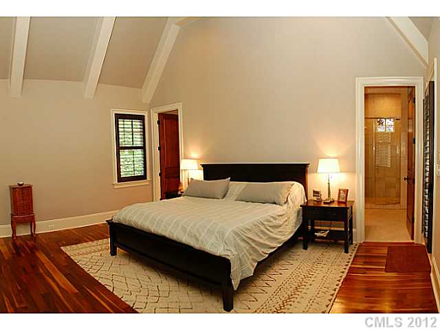 901 Patrick Johnston Ln, Davidson, NC 28036 photo 12