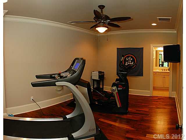901 Patrick Johnston Ln, Davidson, NC 28036 photo 8