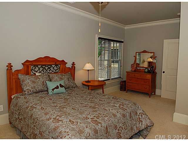 901 Patrick Johnston Ln, Davidson, NC 28036 photo 11