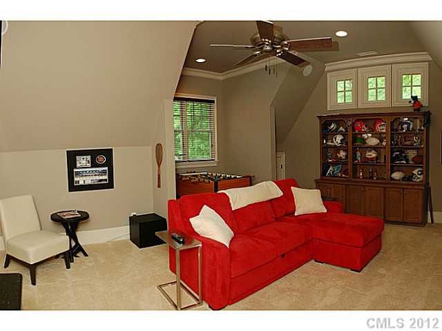 901 Patrick Johnston Ln, Davidson, NC 28036 photo 6