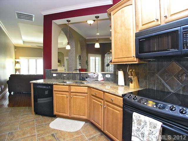 17713 Mesa Range Dr, Cornelius, NC 28031 photo 8