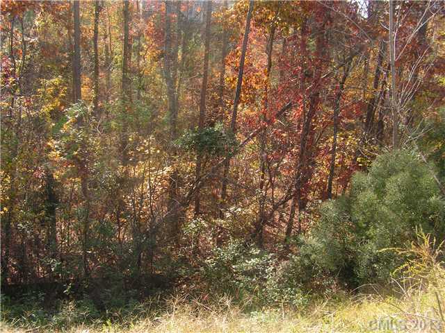 7678 Black Hawk Ln, Tega Cay, SC 29708 photo 2