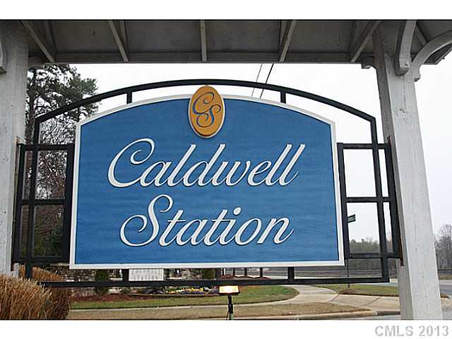 15517 Crossing Gate Dr, Cornelius, NC 28031 photo 16