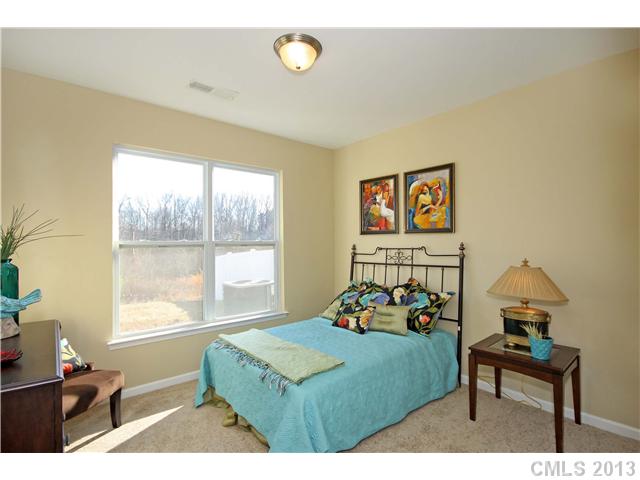 3306 Streamside Dr, Davidson, NC 28036 photo 14