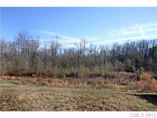 3306 Streamside Dr, Davidson, NC 28036 photo 9