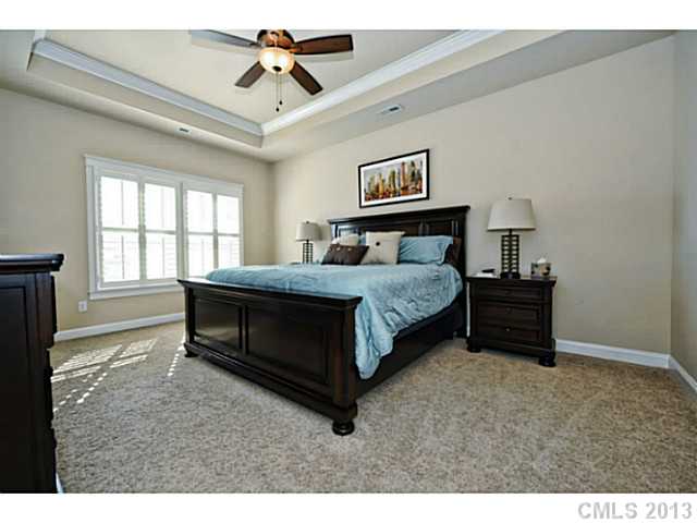 16423 Leavitt Ln, Davidson, NC 28036 photo 11