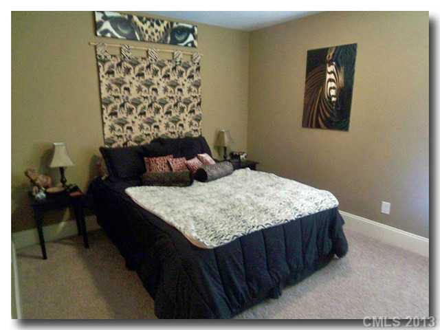 405 Arrow Point Ln, Davidson, NC 28036 photo 13