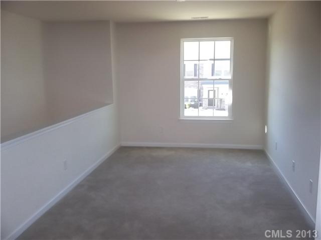 10918 Tailwater St, Davidson, NC 28036 photo 8