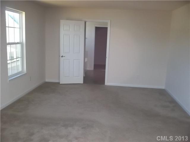 10918 Tailwater St, Davidson, NC 28036 photo 6