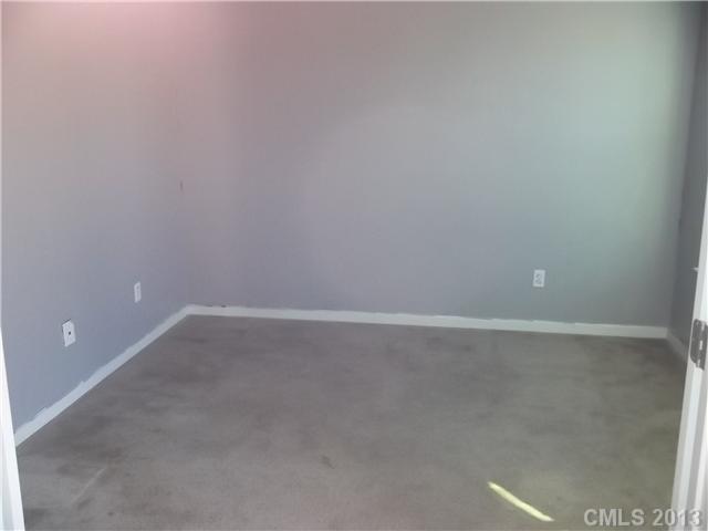 10918 Tailwater St, Davidson, NC 28036 photo 2