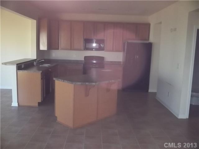10918 Tailwater St, Davidson, NC 28036 photo 3