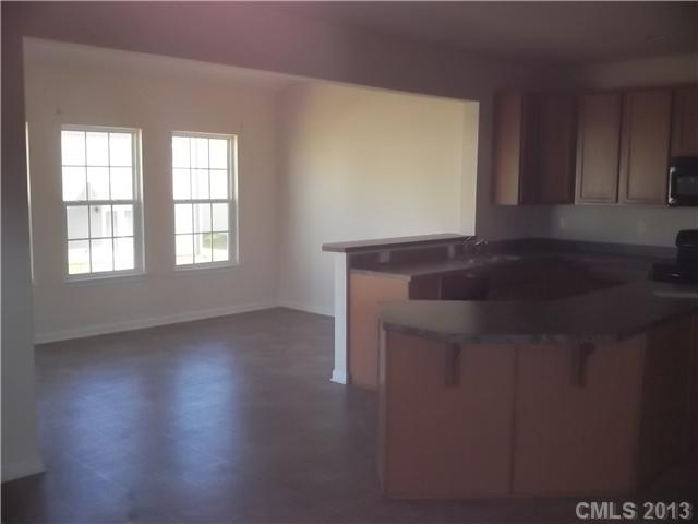 10918 Tailwater St, Davidson, NC 28036 photo 4