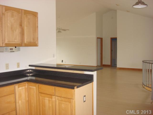 8564 Hagers Ferry Rd, Denver, NC 28037 photo 4