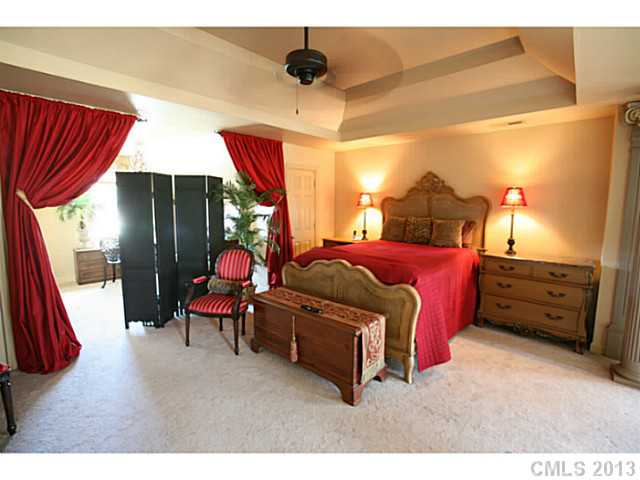 2850 Bivins St, Davidson, NC 28036 photo 10