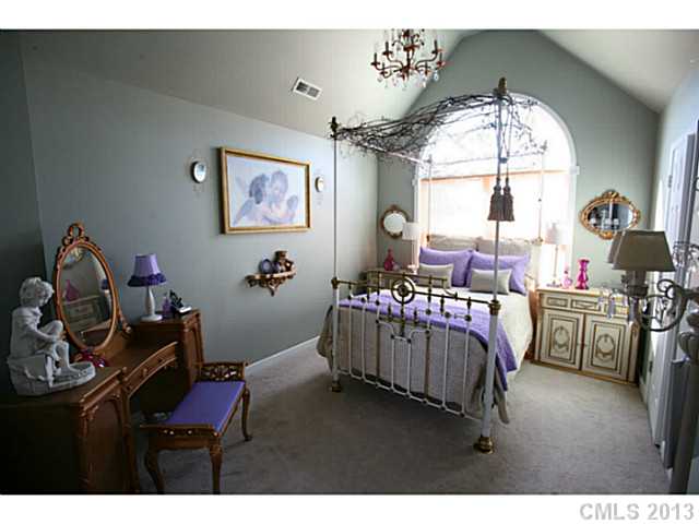 2850 Bivins St, Davidson, NC 28036 photo 14