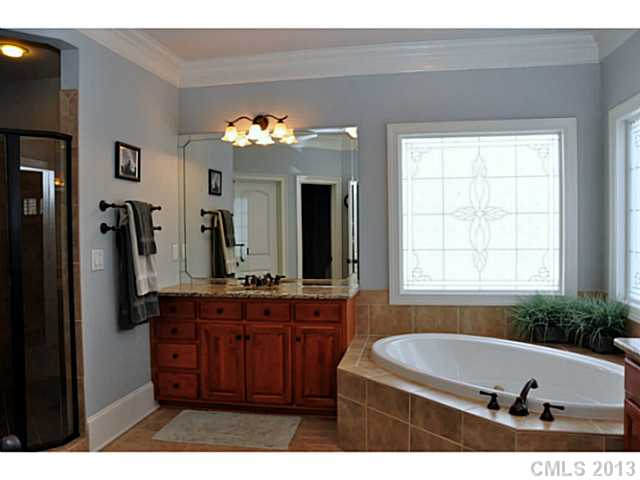 18605 Rollingdale Ln, Davidson, NC 28036 photo 10