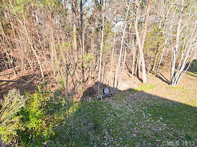 12064 Spinnaker Dr, Tega Cay, SC 29708 photo 3