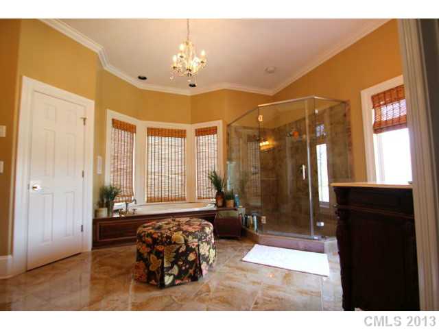 19001 River Falls Dr, Davidson, NC 28036 photo 8