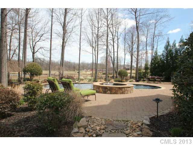 19001 River Falls Dr, Davidson, NC 28036 photo 10